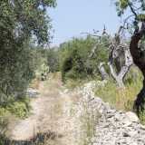 Da questo punto in poi la lama diventa ancora pi� selvaggia. Tra fragni e roverelle...